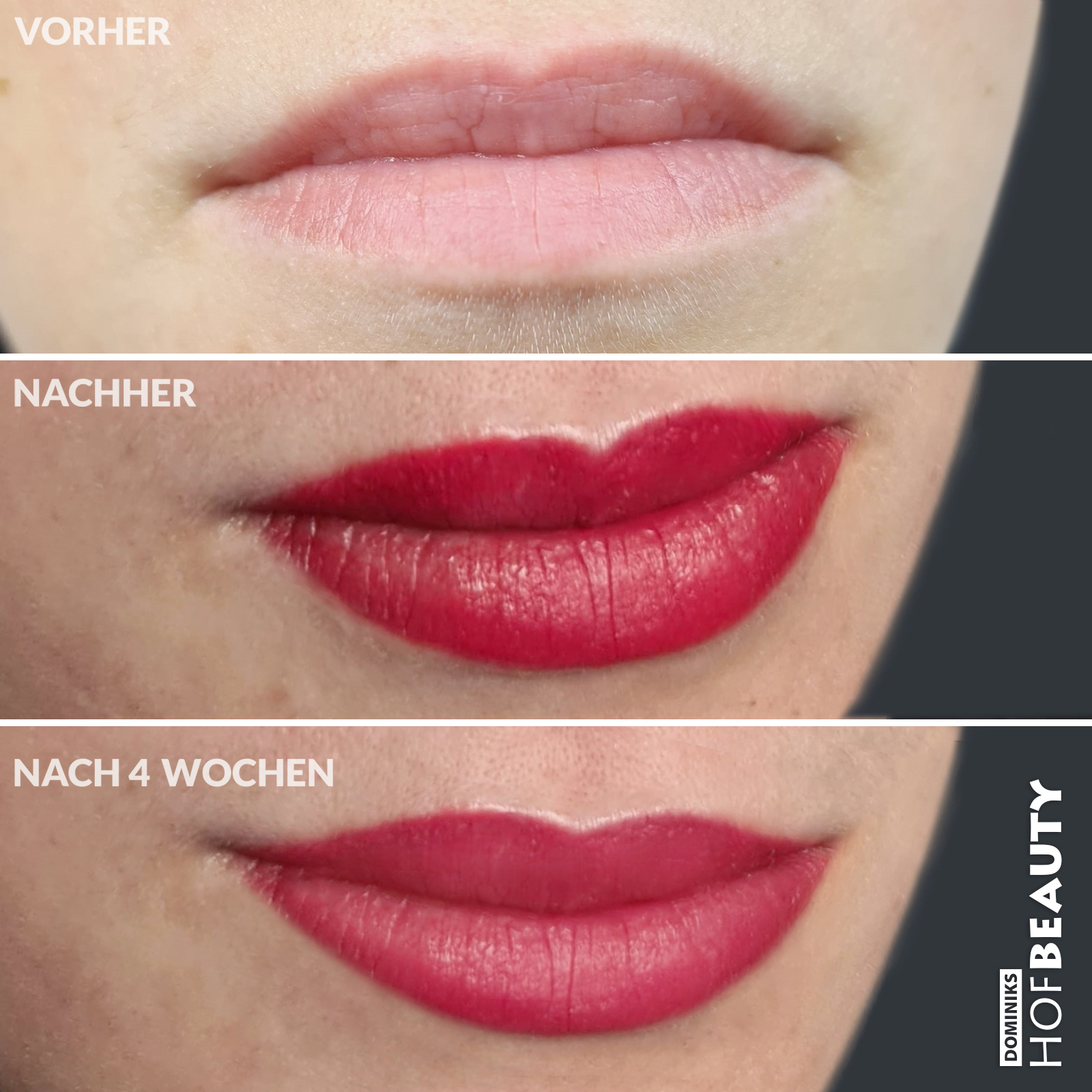 Permanent Make-Up Lippen 2 - HofBeauty